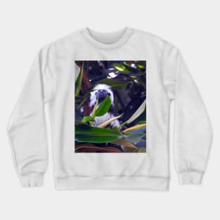 Cotton-top Tamarin Crewneck Sweatshirt